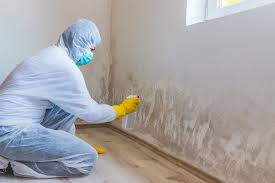 Reliable Rice Lake, WI Mold Inspection Solutions